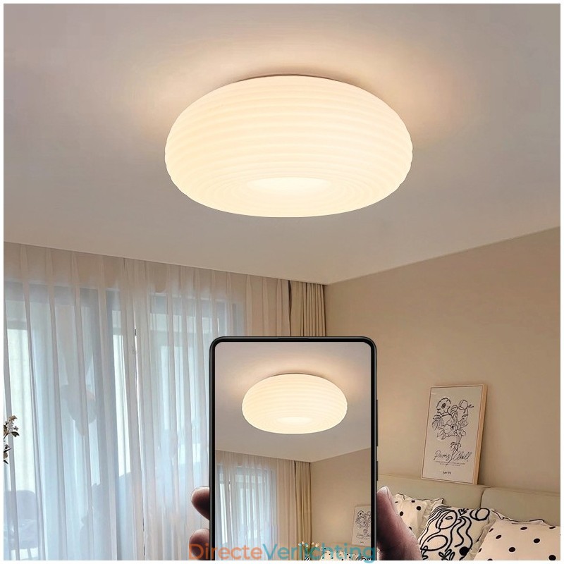 Dimbare Full Spectrum Oogbescherming Ronde Moderne Plafondlamp