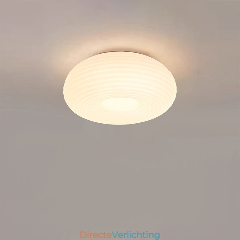 Dimbare Full Spectrum Oogbescherming Ronde Moderne Plafondlamp