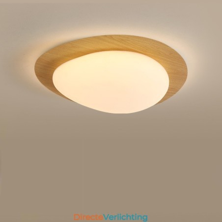 Dimbare Full Spectrum Oogbescherming Nordic Log Grain Pebble Plafondlamp Dimbare Full Spectrum Oogbescherming Nordic Log Grain Pebble Plafondlamp