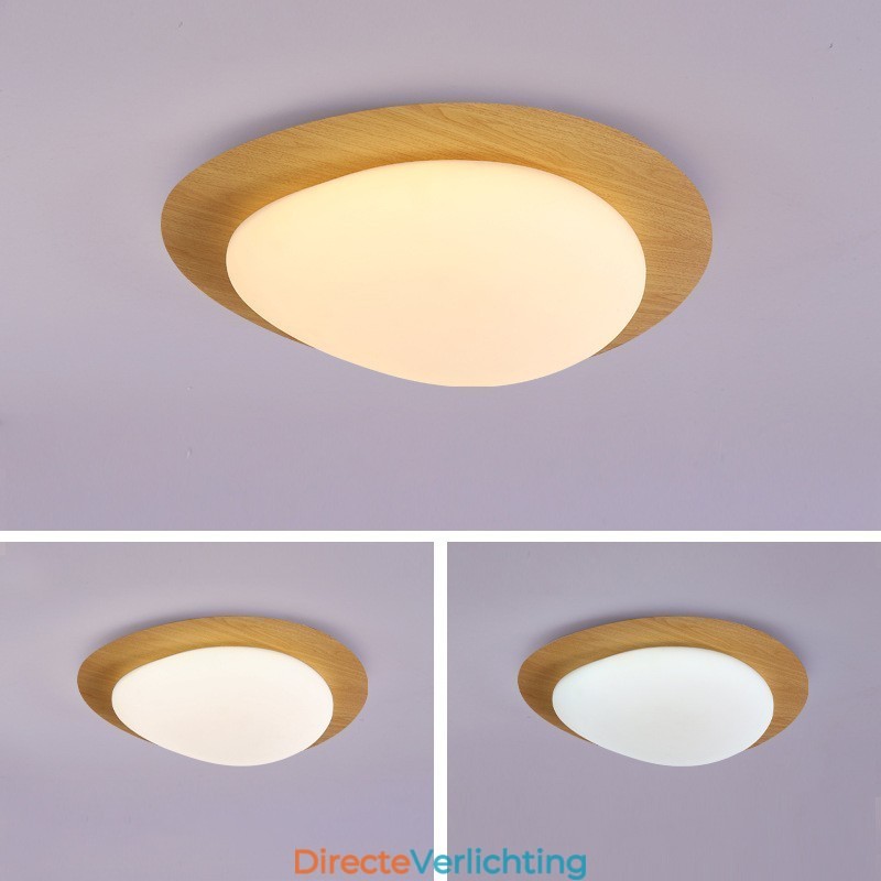 Dimbare Full Spectrum Oogbescherming Nordic Log Grain Pebble Plafondlamp