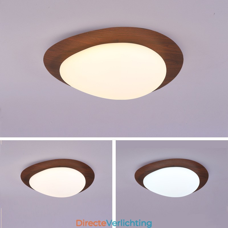 Dimbare Full Spectrum Oogbescherming Nordic Log Grain Pebble Plafondlamp
