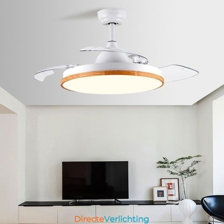 Moderne Inverter Plafondventilator Licht Afstandsbediening Plafondlamp Driekleurige Dimming Moderne Inverter Plafondventilator Licht Afstandsbediening Plafondlamp Driekleurige Dimming