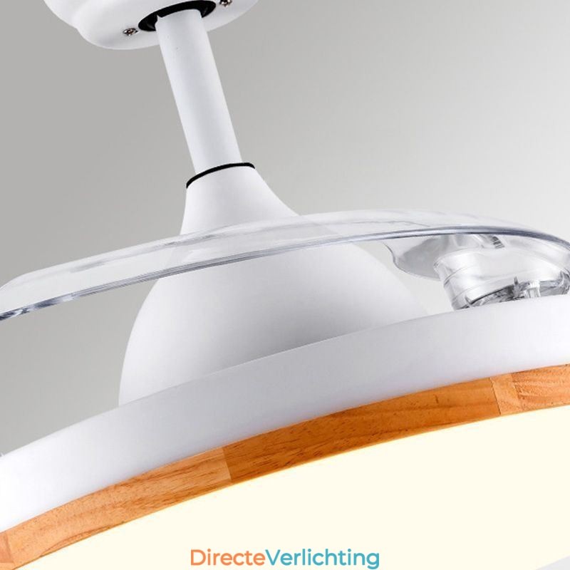 Moderne Inverter Plafondventilator Licht Afstandsbediening Plafondlamp Driekleurige Dimming