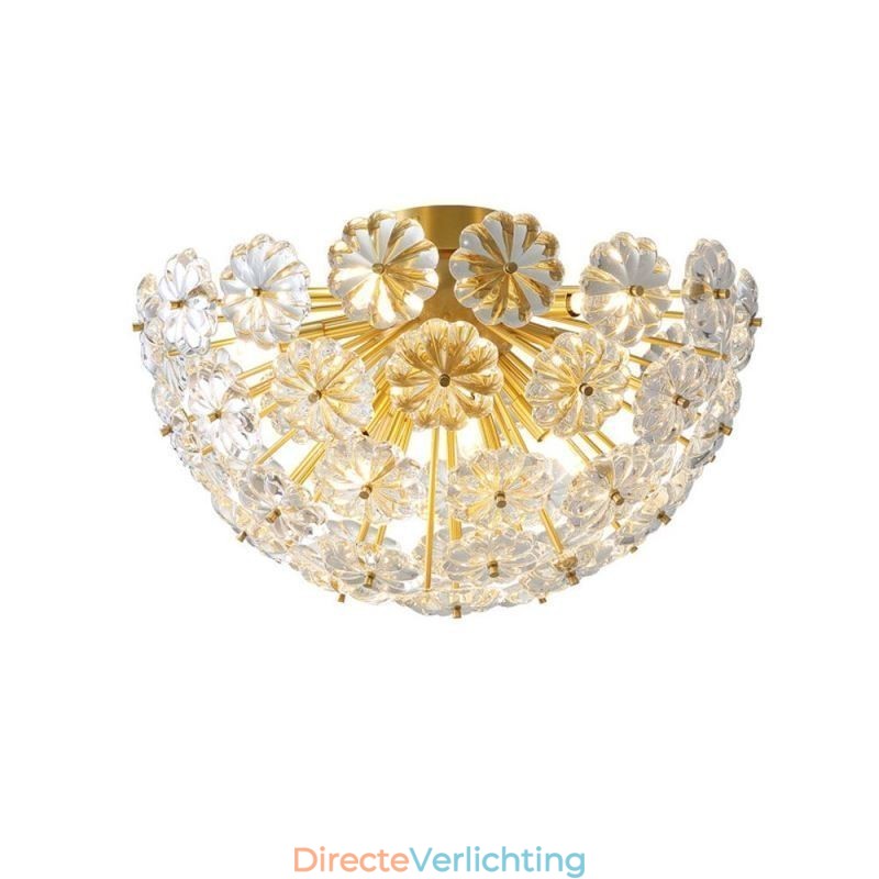 Halfronde glazen plafondlamp in de vorm van een bloem, modern decoratief