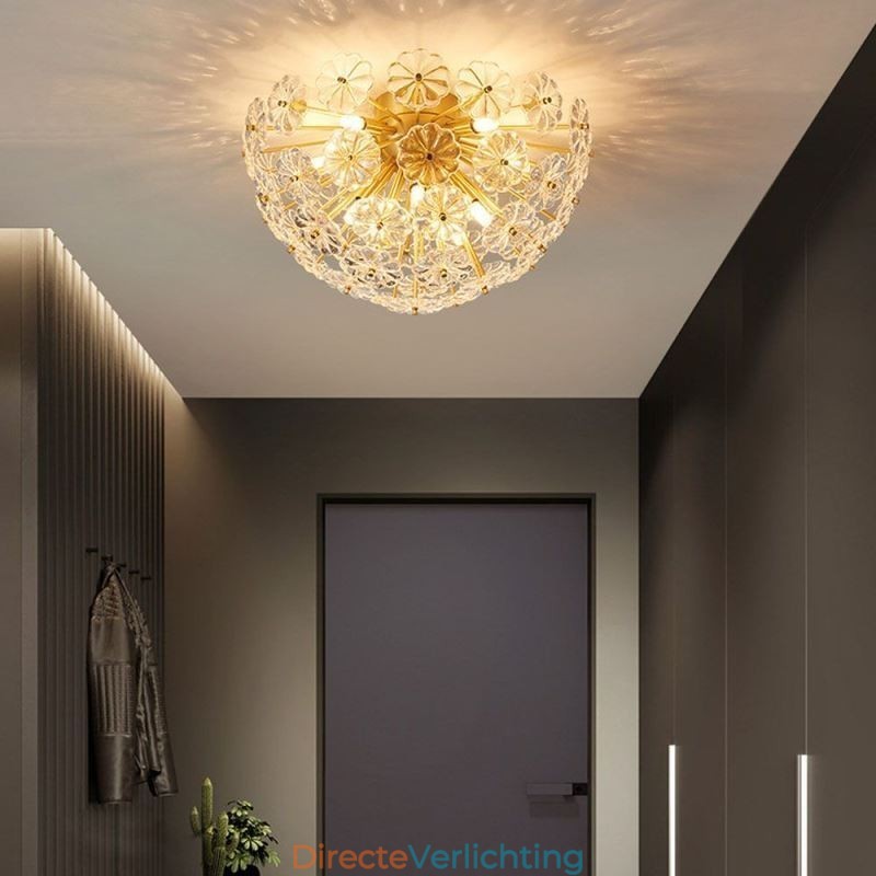 Halfronde glazen plafondlamp in de vorm van een bloem, modern decoratief
