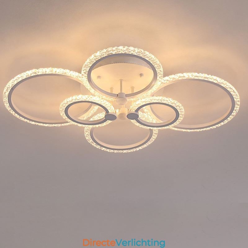 Moderne minimalistische plafondlamp met cirkelvormige acrylbloem