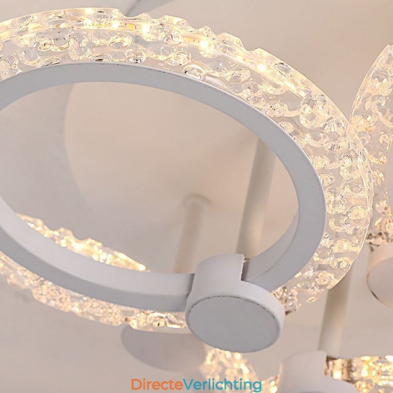 Moderne minimalistische plafondlamp met cirkelvormige acrylbloem