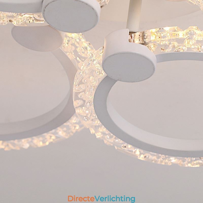 Moderne minimalistische plafondlamp met cirkelvormige acrylbloem