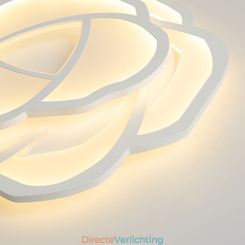 Moderne eenvoudige plafondlamp van acryl in de kleur roze 52 cm