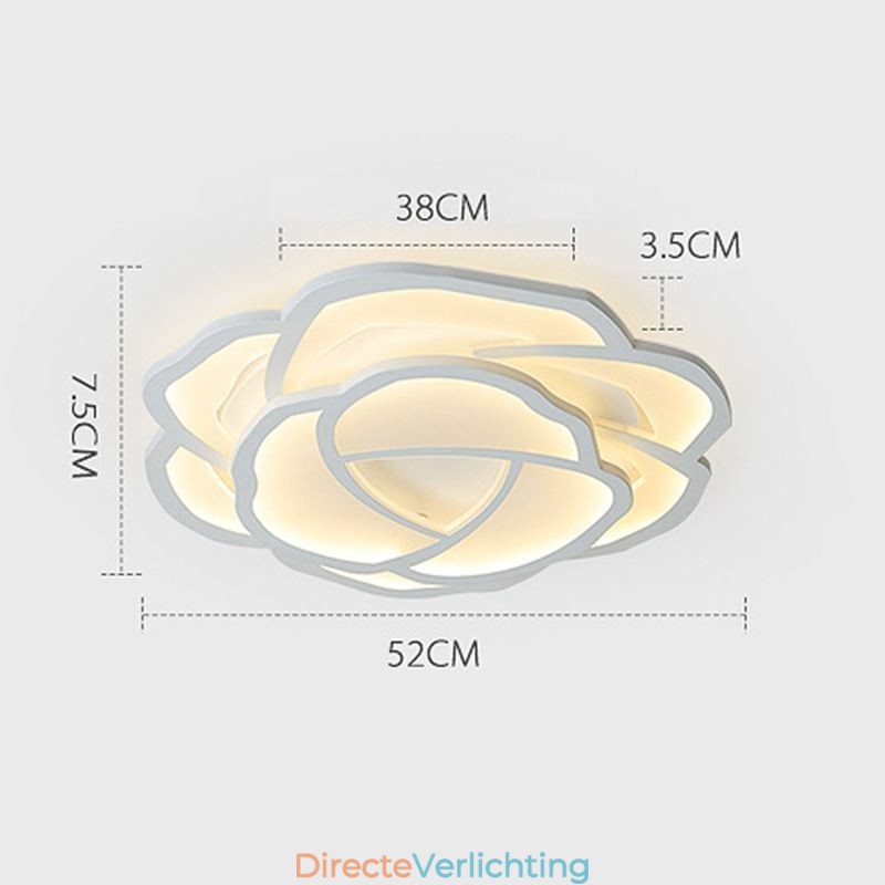 Moderne eenvoudige plafondlamp van acryl in de kleur roze 52 cm