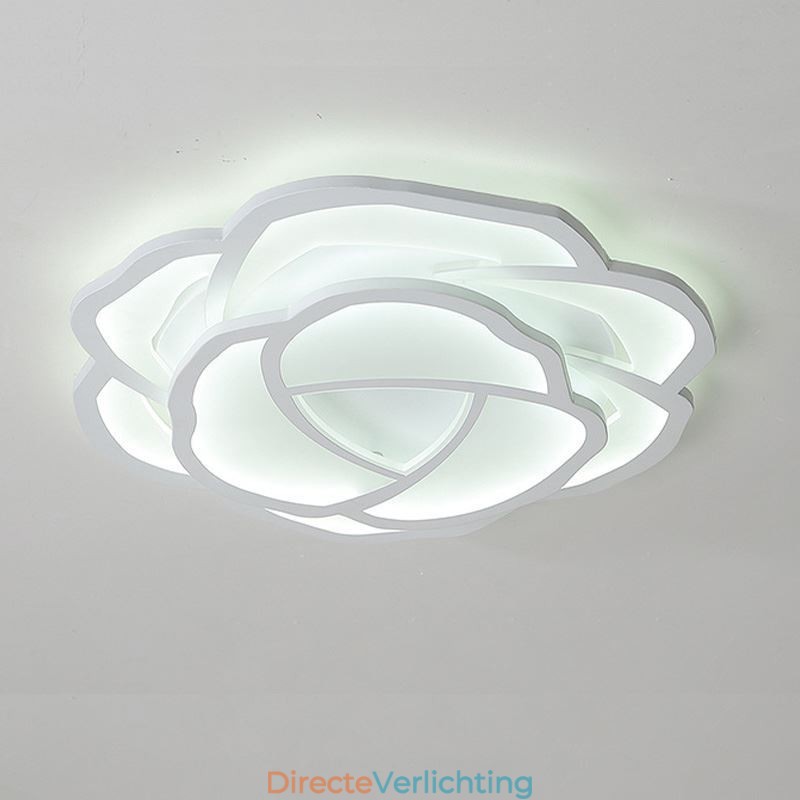Moderne eenvoudige plafondlamp van acryl in de kleur roze 52 cm