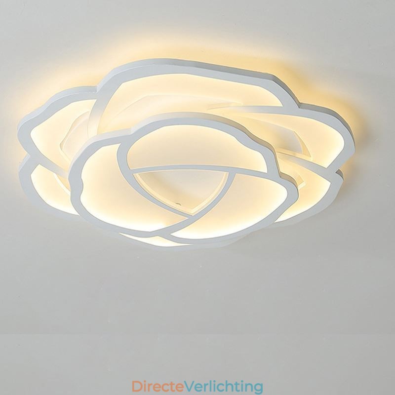 Moderne eenvoudige plafondlamp van acryl in de kleur roze 52 cm