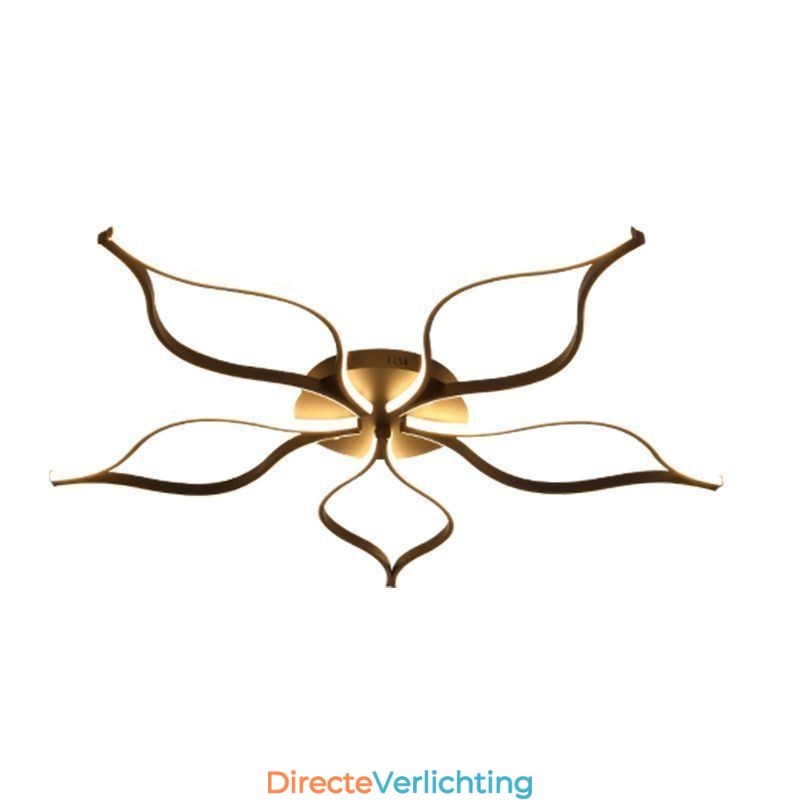 Minimalistische plafondlamp met vijfbladige bloemen