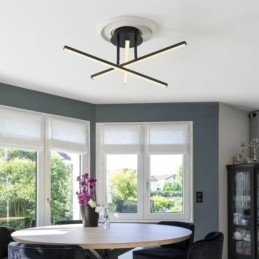 Moderne eenvoudige plafondlamp van aluminium met kunststrips