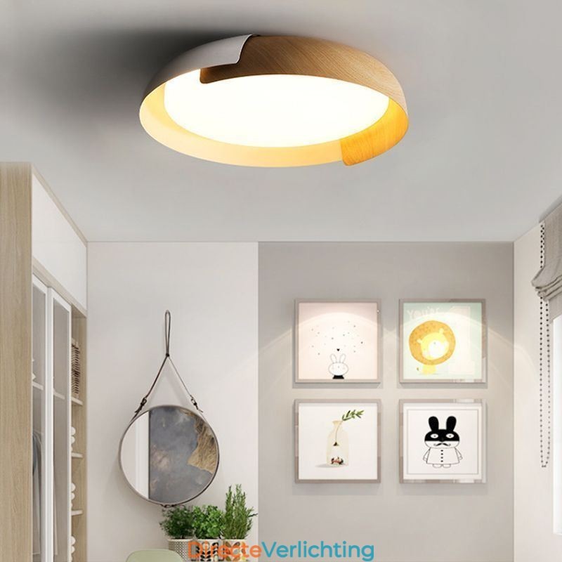 Moderne plafondlamp, ronde plafondlamp van acryl