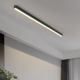 Moderne plafondlamp, lange strip, opbouw plafondlamp