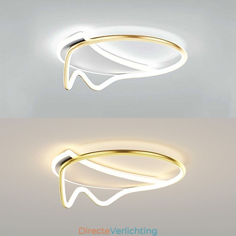 Moderne plafondlamp woondecoratie ring plafondlamp