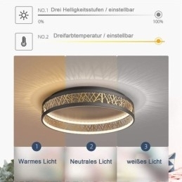 Plafondlamp Vogelnest Ronde Lamp Moderne Armaturen