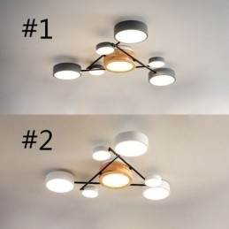 Moderne moleculaire acryl plafondlamp