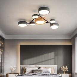 Moderne moleculaire acryl plafondlamp