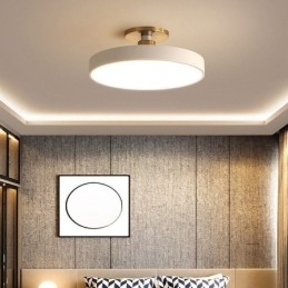 Moderne ronde plafondlampen, plafondlamp van acryl