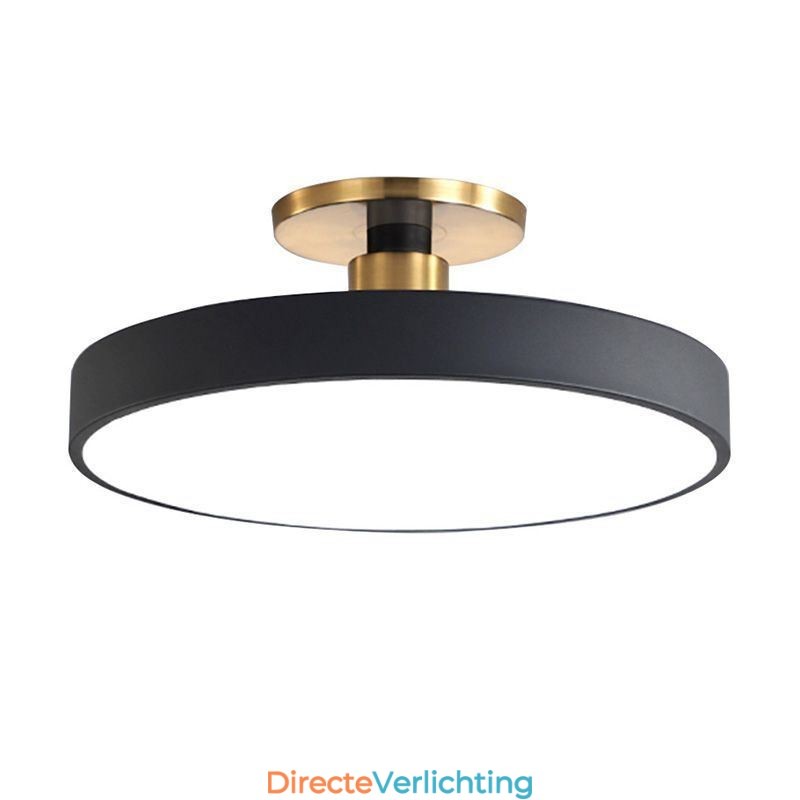 Moderne ronde plafondlampen, plafondlamp van acryl
