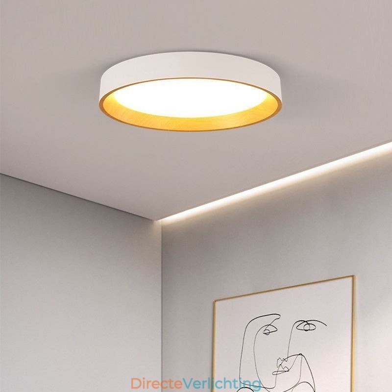 Plafondlamp Moderne minimalistische inbouwpaneellamp
