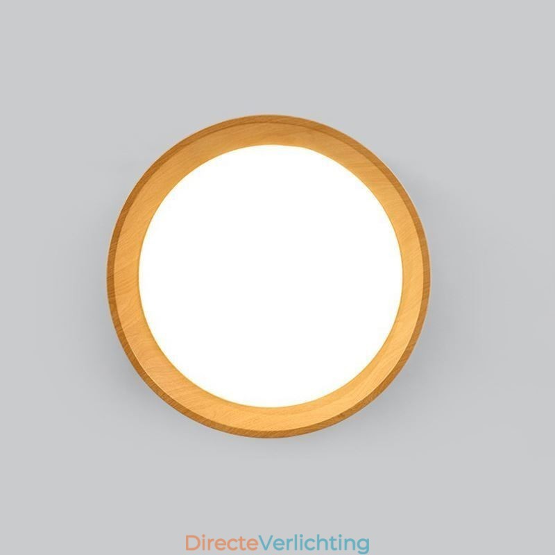 Plafondlamp Moderne minimalistische inbouwpaneellamp