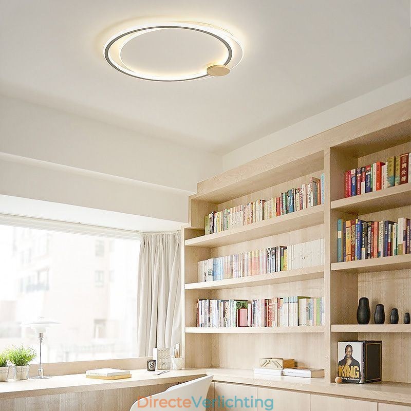 Moderne plafondlamp van acryl met 2 ringen
