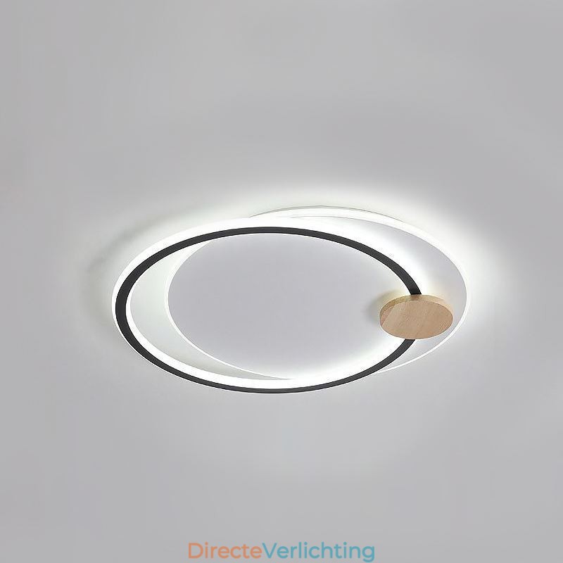 Moderne plafondlamp van acryl met 2 ringen