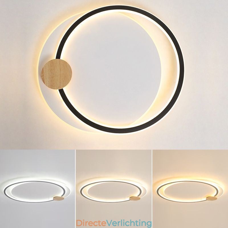 Moderne plafondlamp van acryl met 2 ringen
