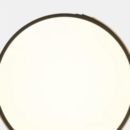 Moderne plafondlamp met cirkelvormige verlichting