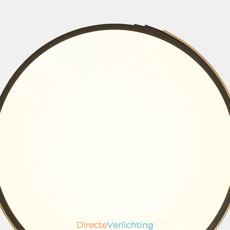 Moderne plafondlamp met cirkelvormige verlichting