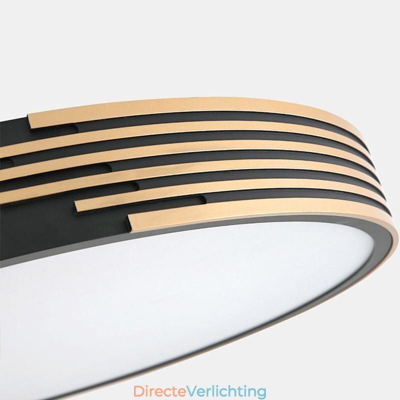 Moderne plafondlamp met cirkelvormige verlichting