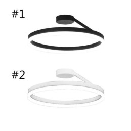 Moderne plafondlamp met cirkelvormige verlichting en acryl lampenkap