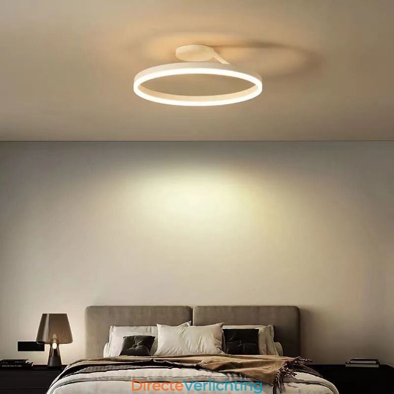 Moderne plafondlamp met cirkelvormige verlichting en acryl lampenkap