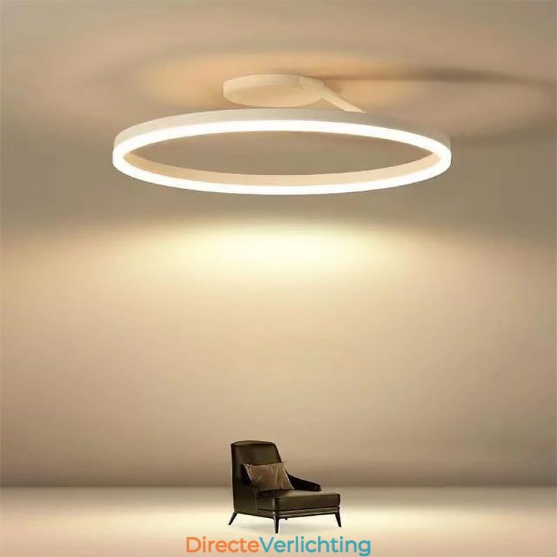 Moderne plafondlamp met cirkelvormige verlichting en acryl lampenkap