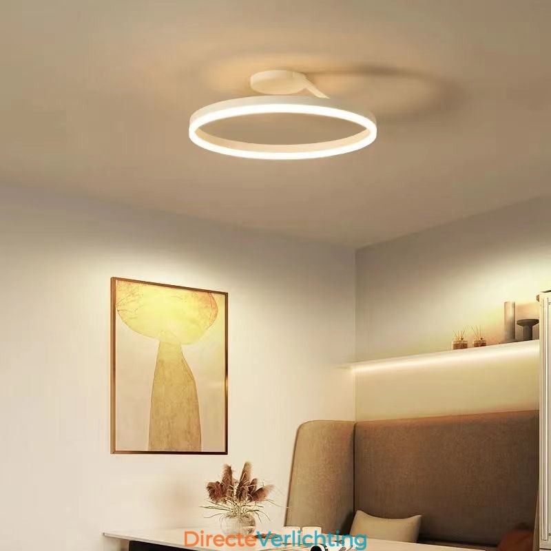 Moderne plafondlamp met cirkelvormige verlichting en acryl lampenkap