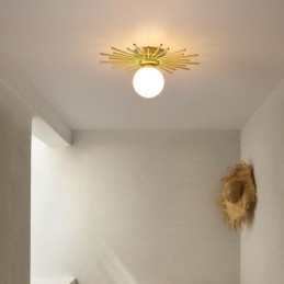 Moderne 1-lichts plafondlamp in de vorm van een bolvormige plafondlamp