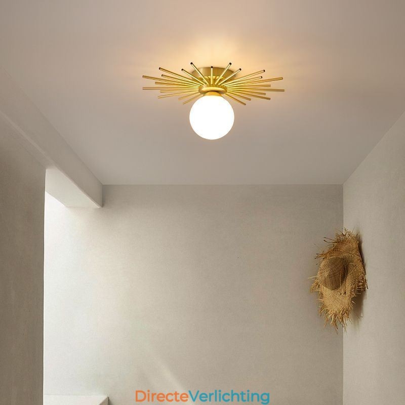 Moderne 1-lichts plafondlamp in de vorm van een bolvormige plafondlamp
