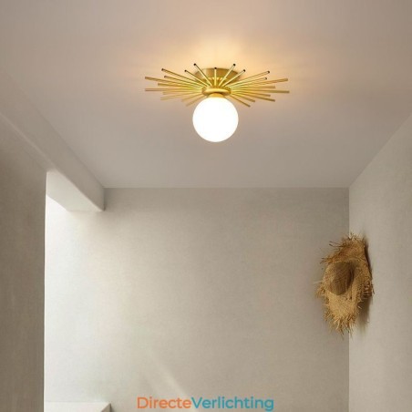 Moderne 1-lichts plafondlamp in de vorm van een bolvormige plafondlamp Moderne 1-lichts plafondlamp in de vorm van een bolvormige plafondlamp