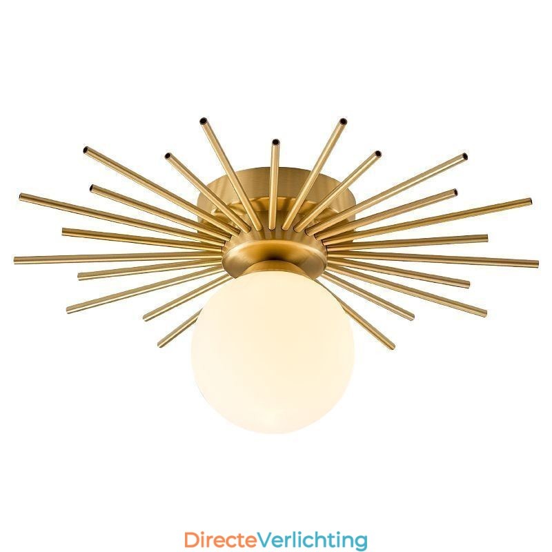 Moderne 1-lichts plafondlamp in de vorm van een bolvormige plafondlamp