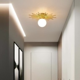 Moderne 1-lichts plafondlamp in de vorm van een bolvormige plafondlamp