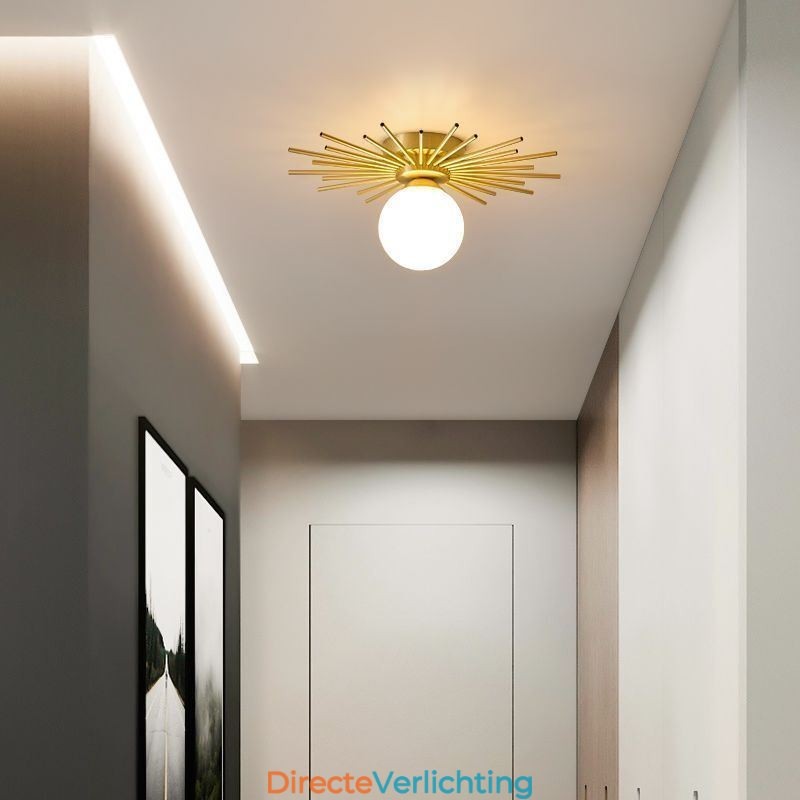 Moderne 1-lichts plafondlamp in de vorm van een bolvormige plafondlamp