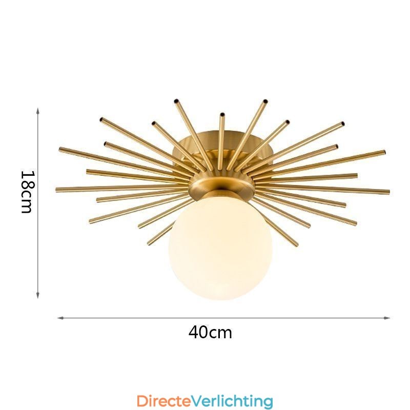 Moderne 1-lichts plafondlamp in de vorm van een bolvormige plafondlamp