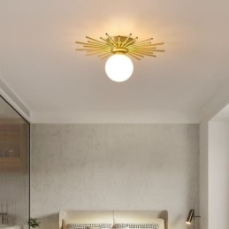 Moderne 1-lichts plafondlamp in de vorm van een bolvormige plafondlamp
