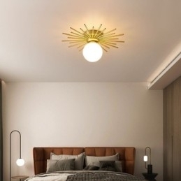 Moderne 1-lichts plafondlamp in de vorm van een bolvormige plafondlamp
