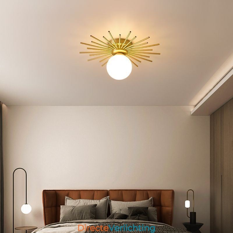 Moderne 1-lichts plafondlamp in de vorm van een bolvormige plafondlamp