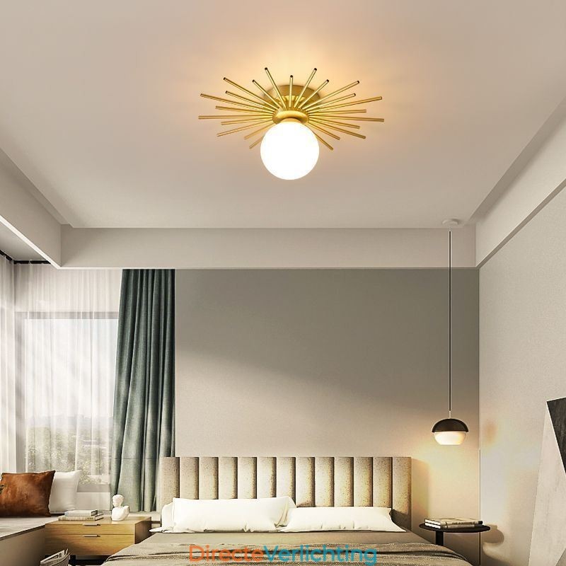 Moderne 1-lichts plafondlamp in de vorm van een bolvormige plafondlamp