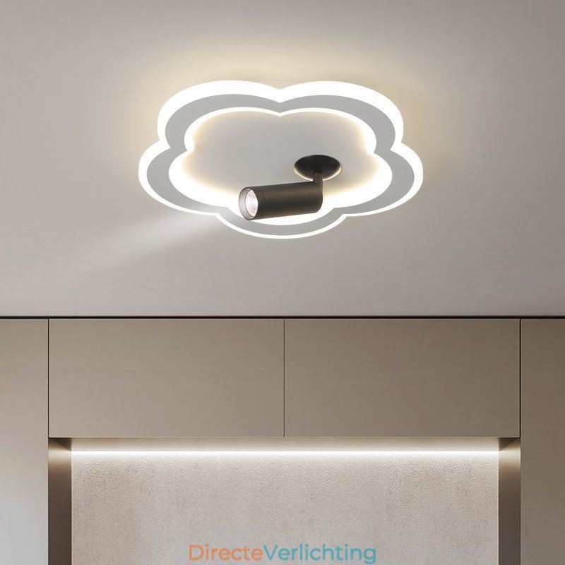 Plafondlamp in de vorm van een bloem van acryl in de vorm van een plafondlamp